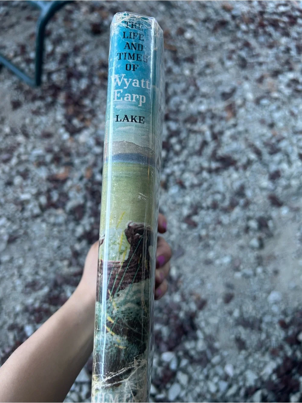 vintage hardcover book of The Life and Times of Wyatt Earp by Stuart N. Lake